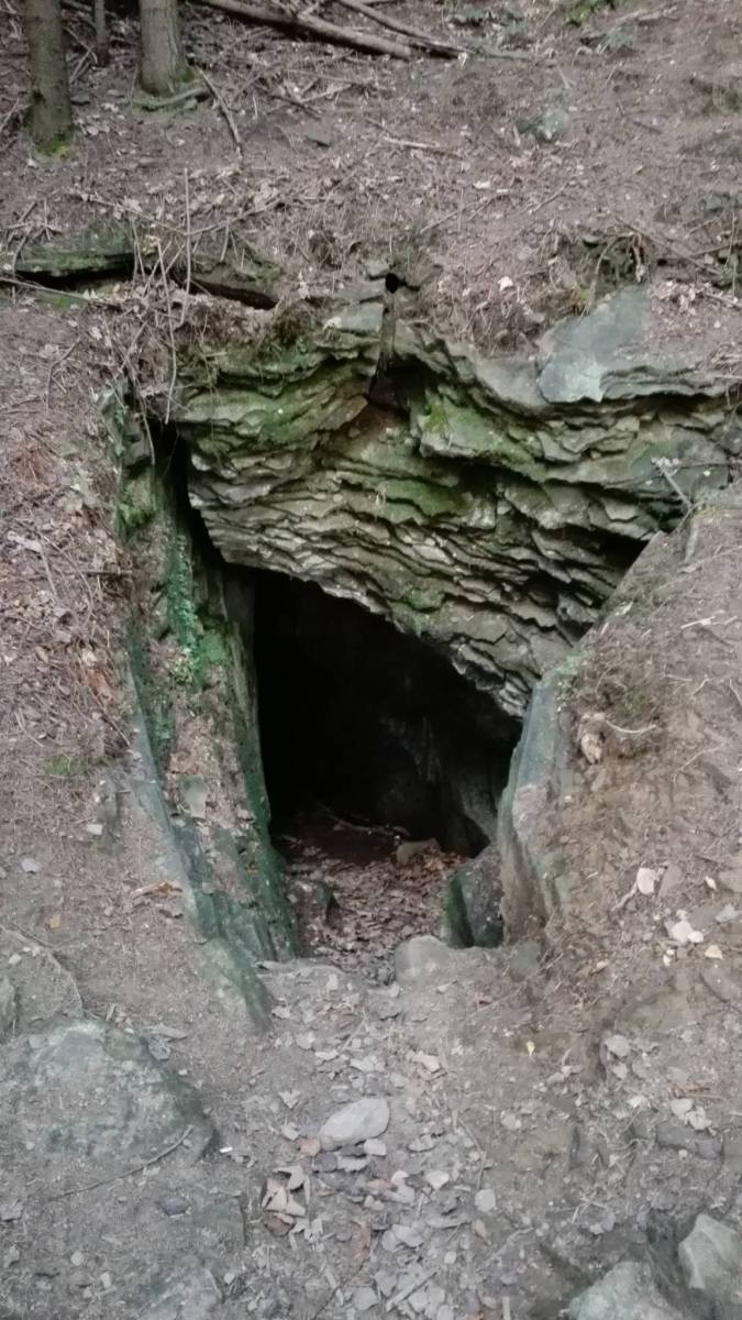 Zdjęcie 5
