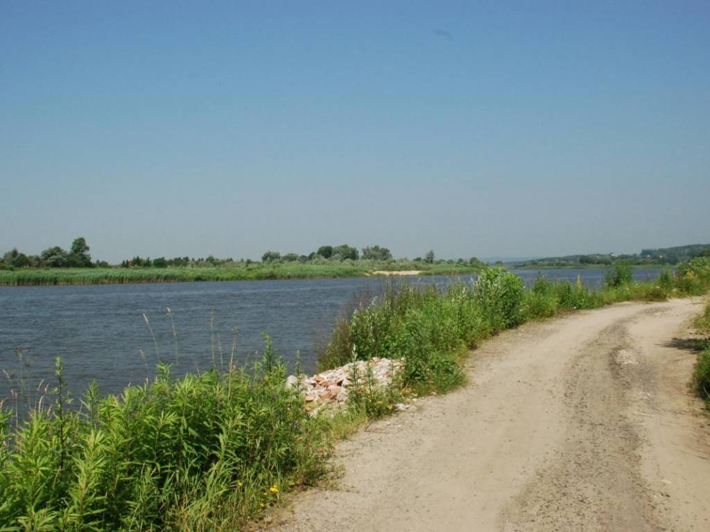Zdjęcie 5