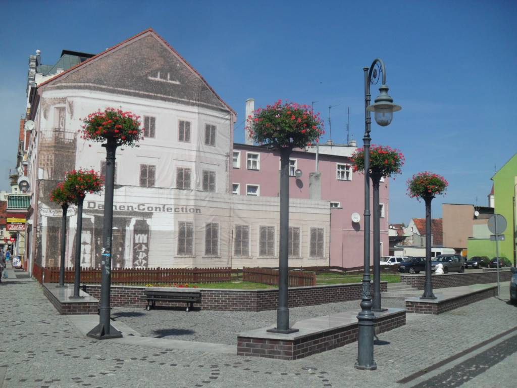 Zdjęcie 6