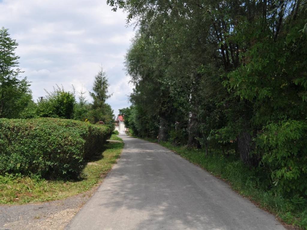 Zdjęcie 3