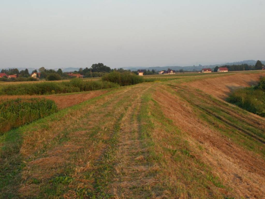 Zdjęcie 5