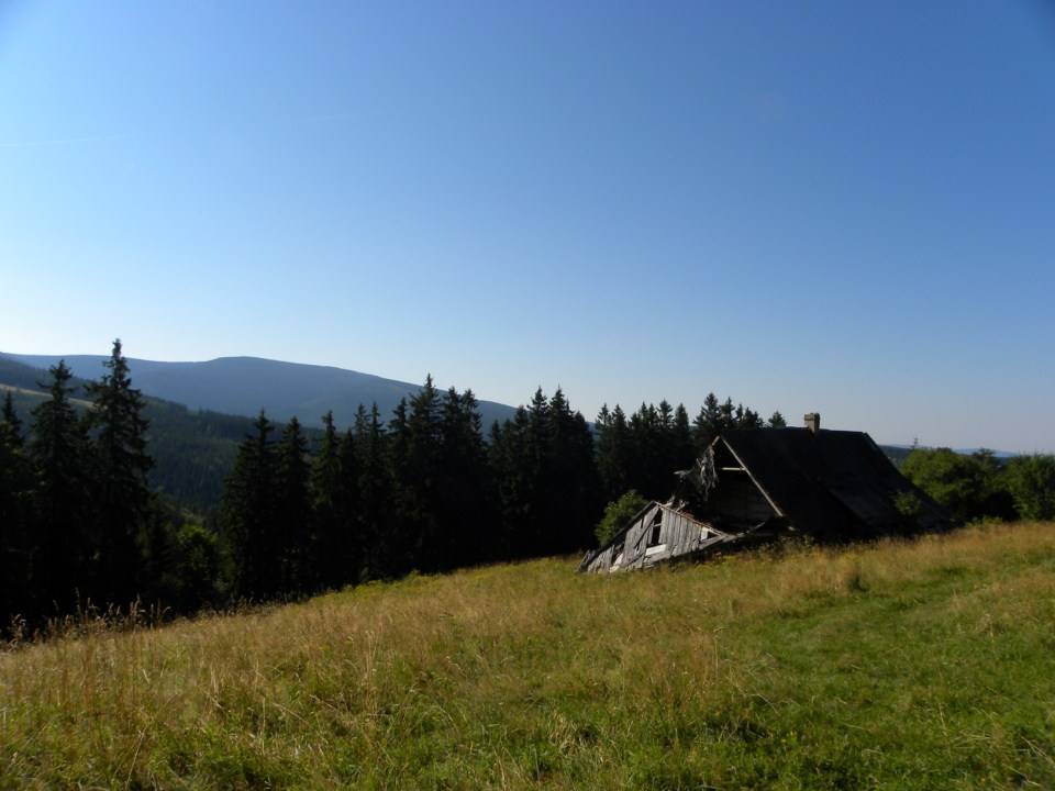 Zdjęcie 5