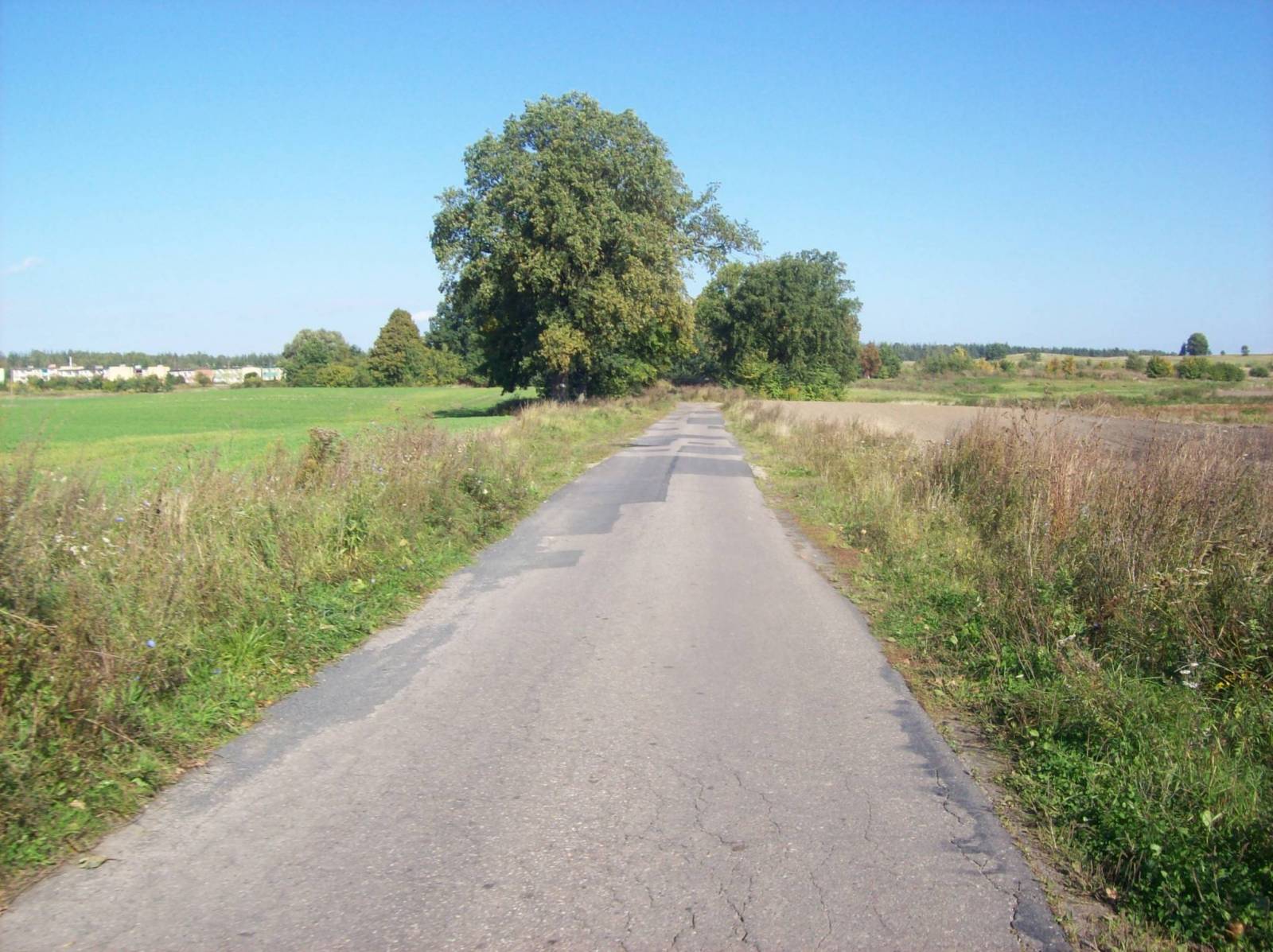 Zdjęcie 3