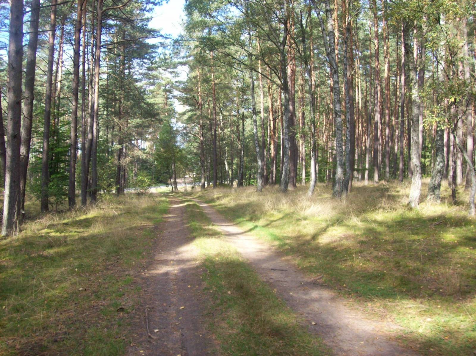 Zdjęcie 5