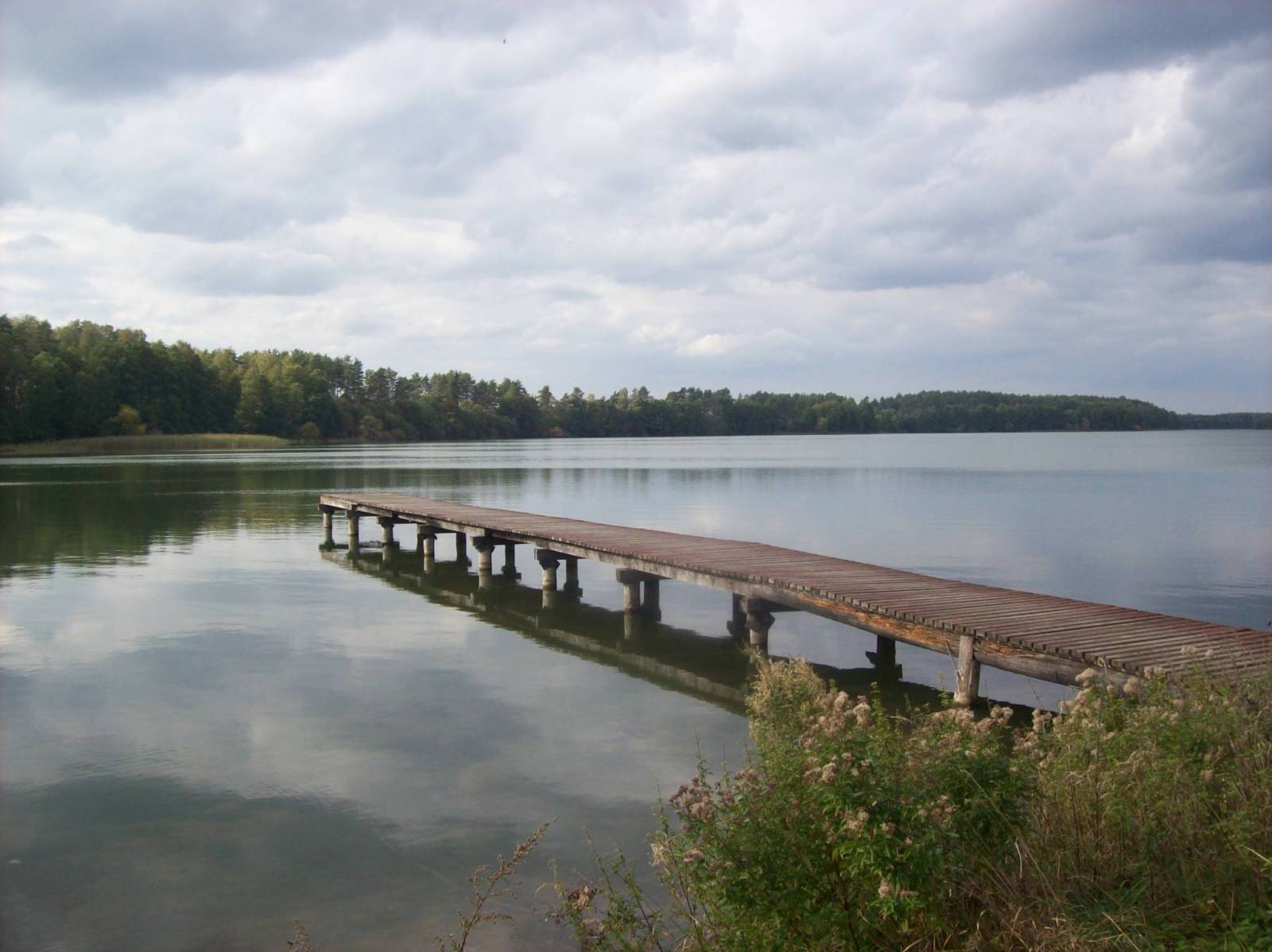 Zdjęcie 6