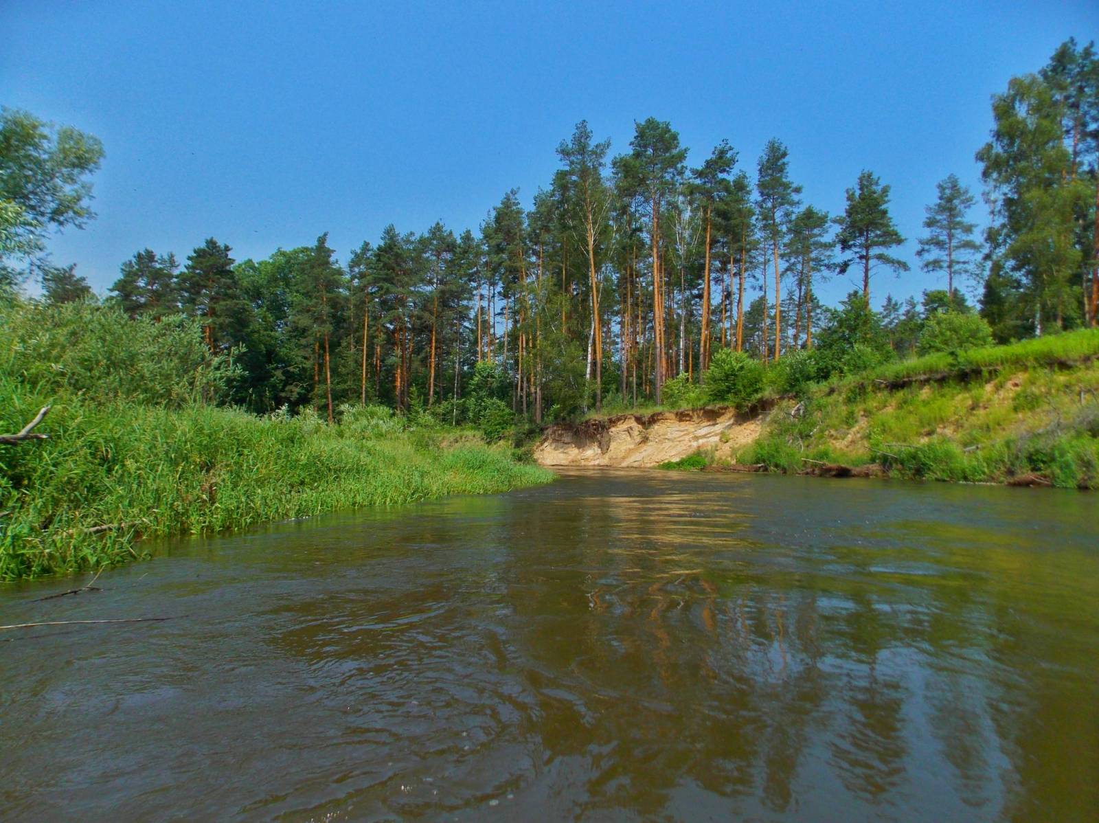 Zdjęcie 6