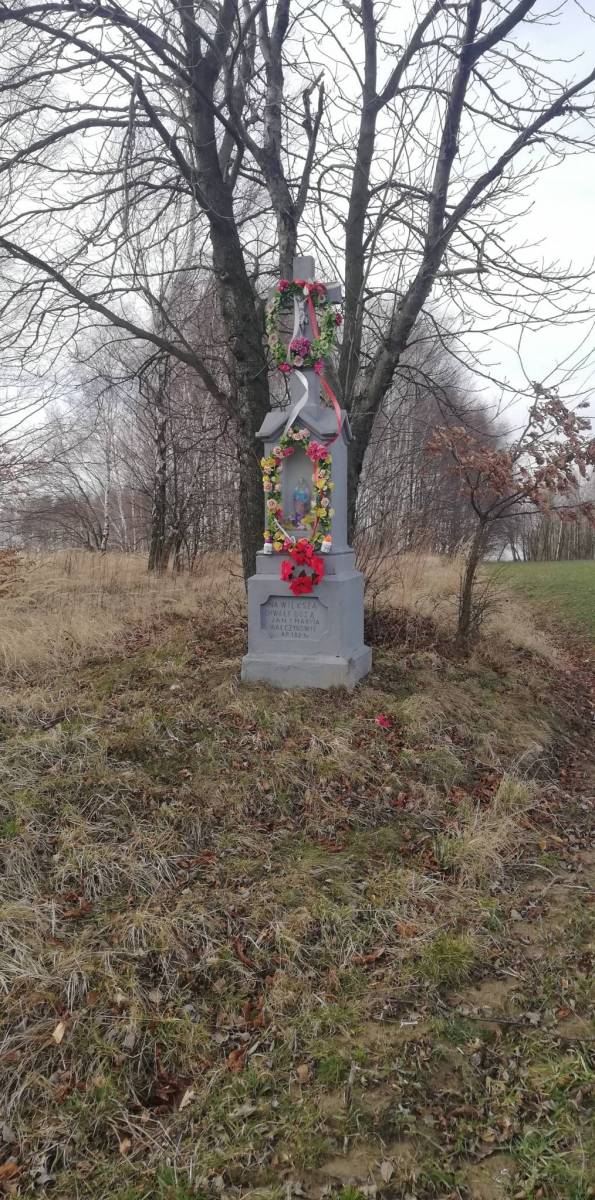 Zdjęcie 3