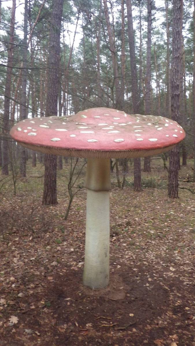 Zdjęcie 4