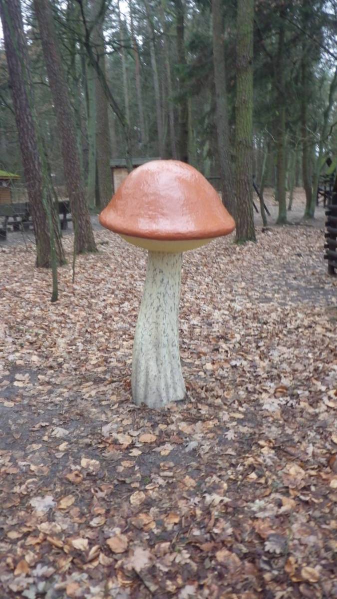 Zdjęcie 5