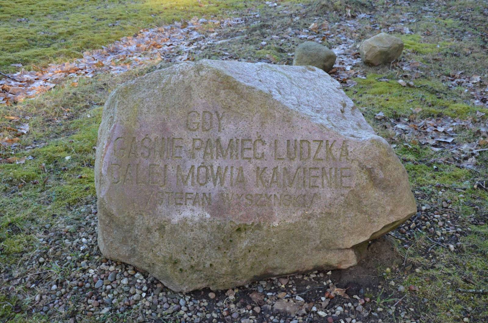 Zdjęcie 6