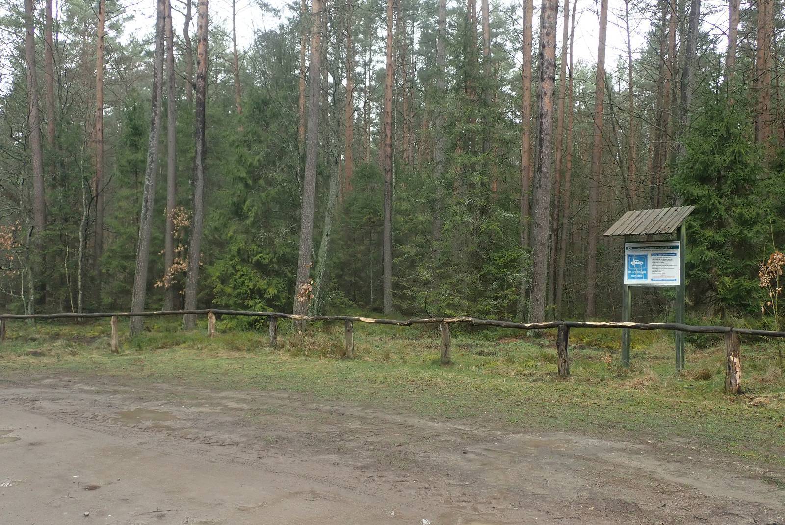 Zdjęcie 6