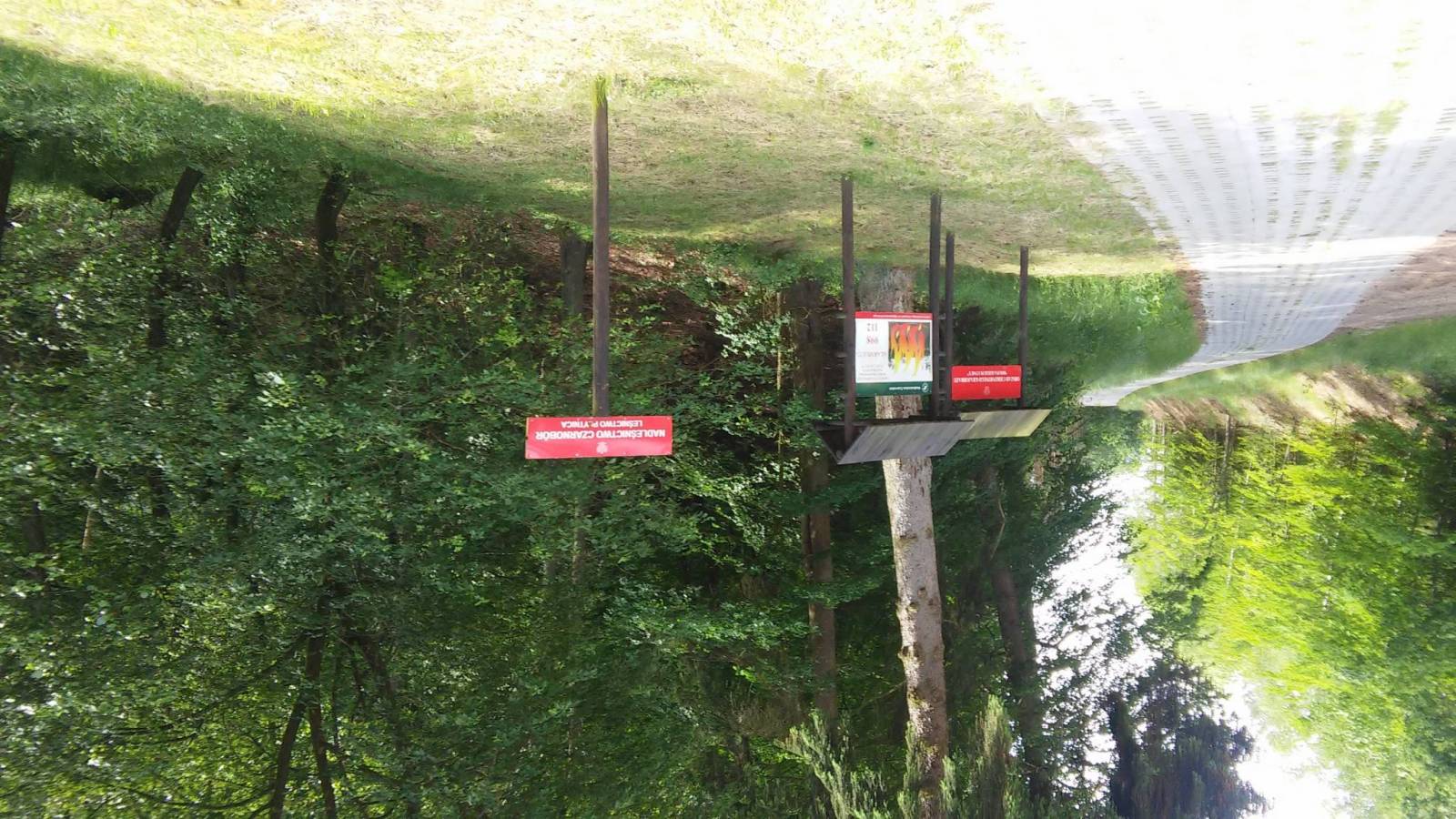 Zdjęcie 5