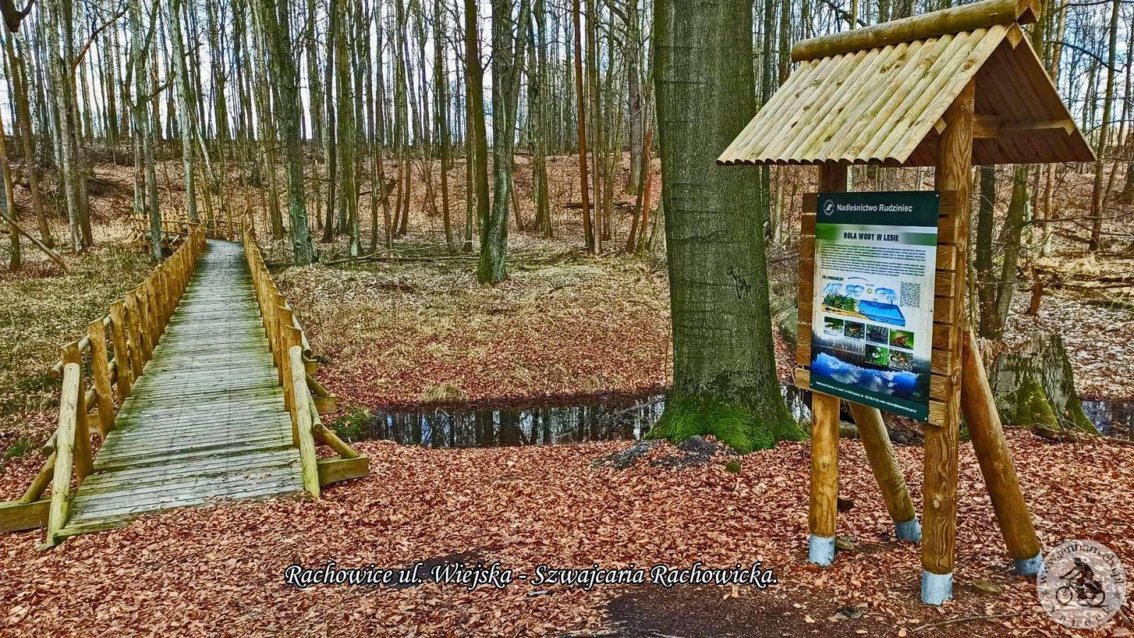 Zdjęcie 3