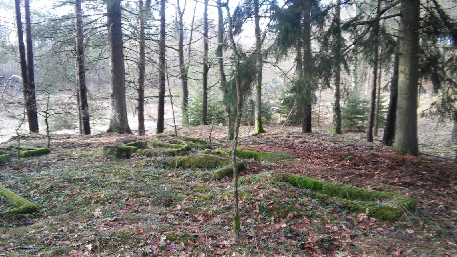 Zdjęcie 5