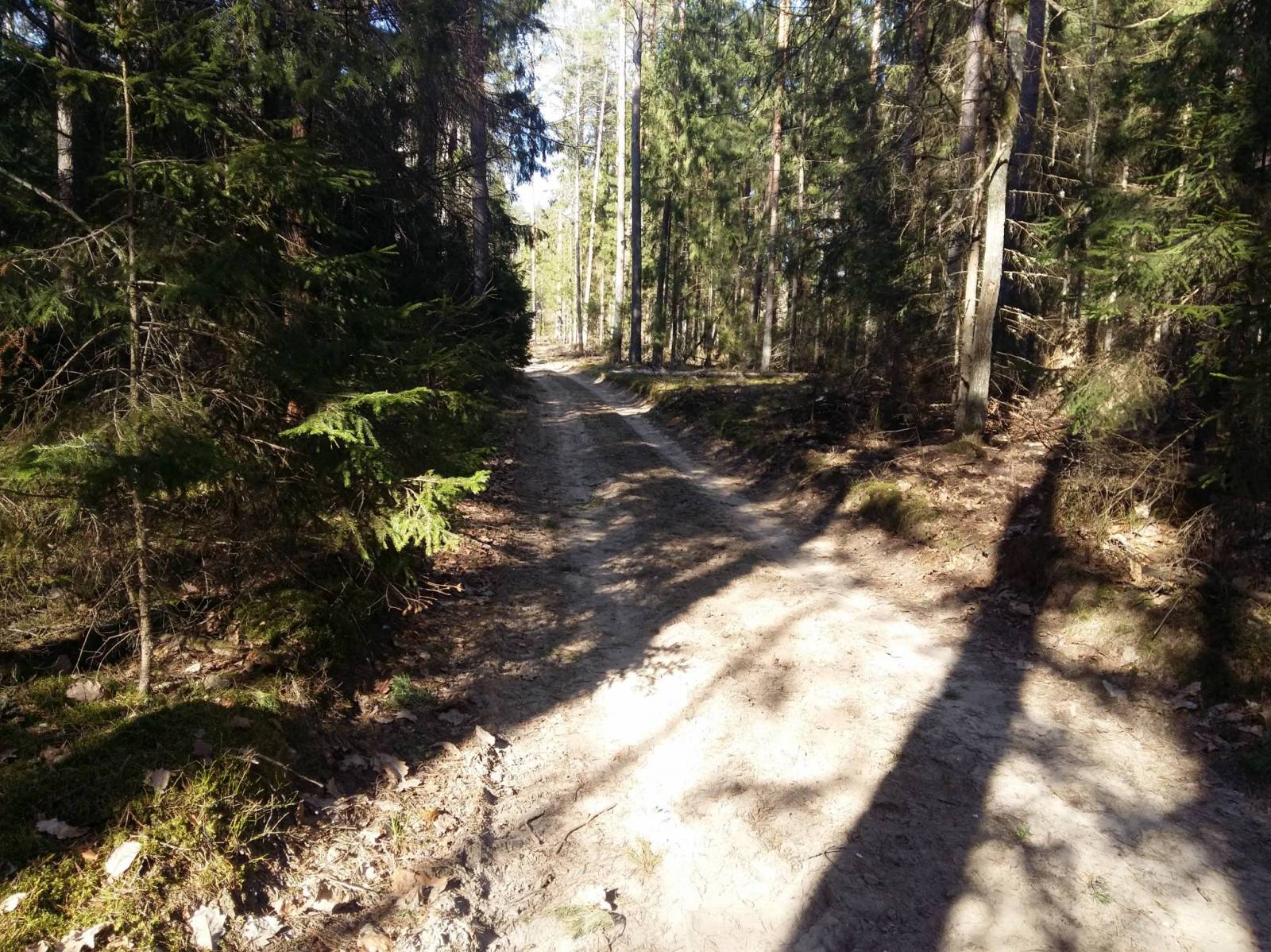 Zdjęcie 6