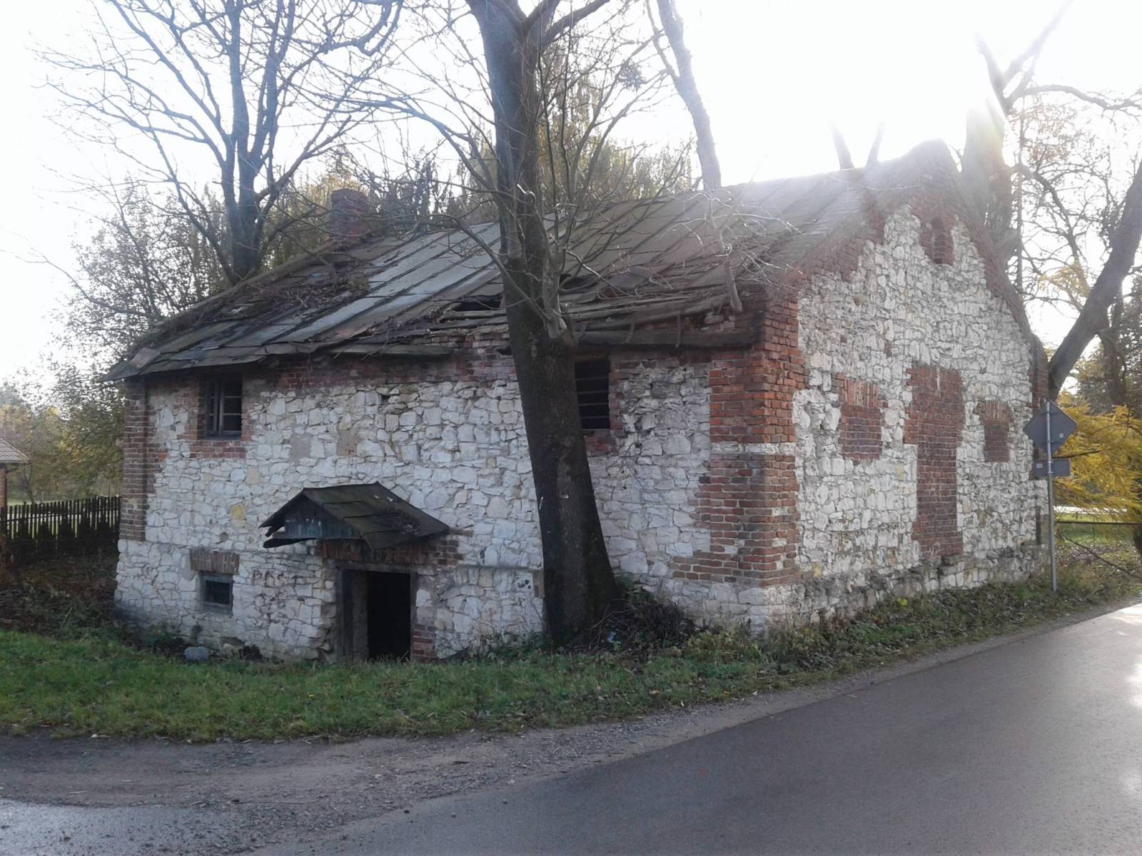 Zdjęcie 5