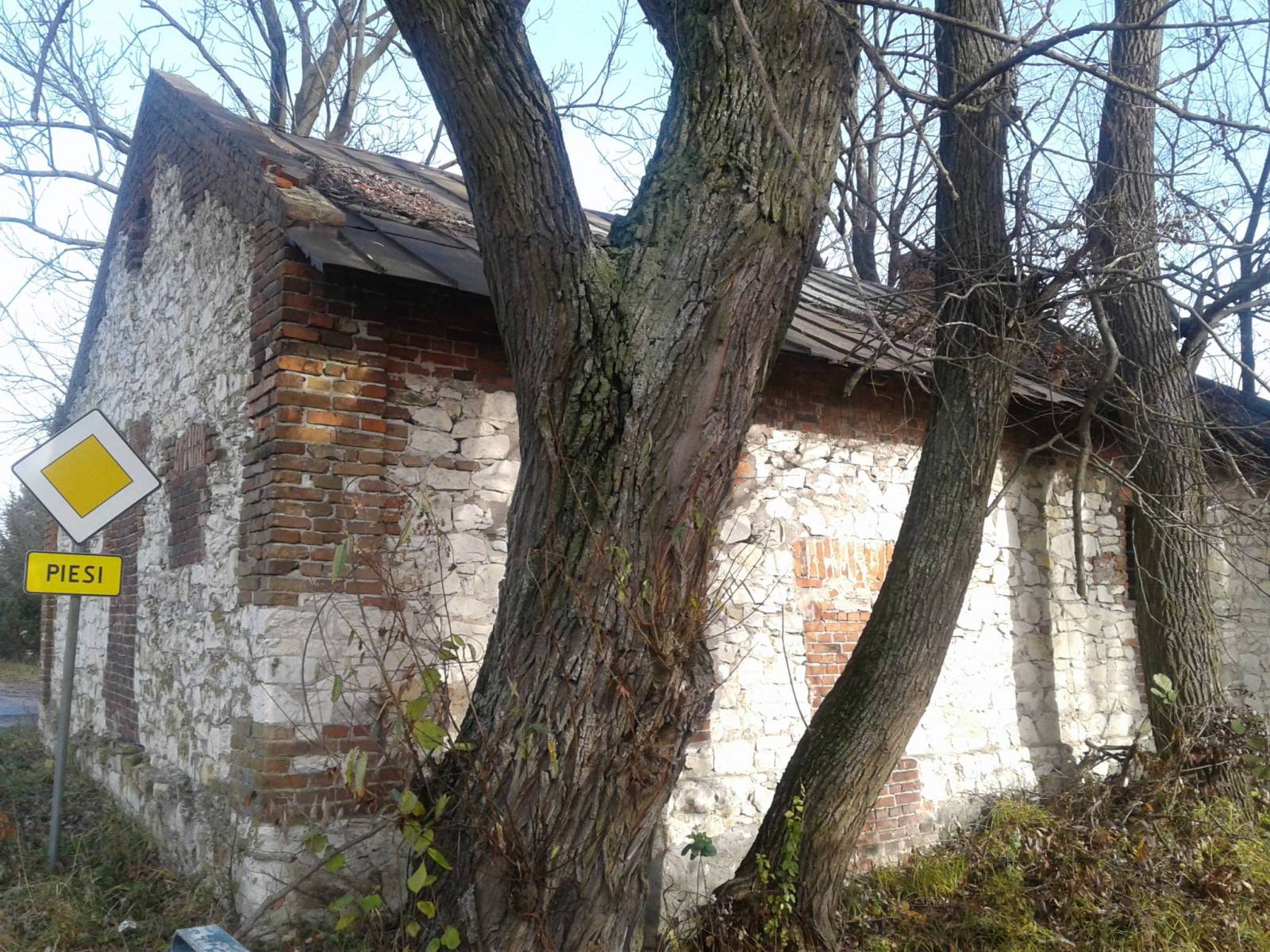 Zdjęcie 6