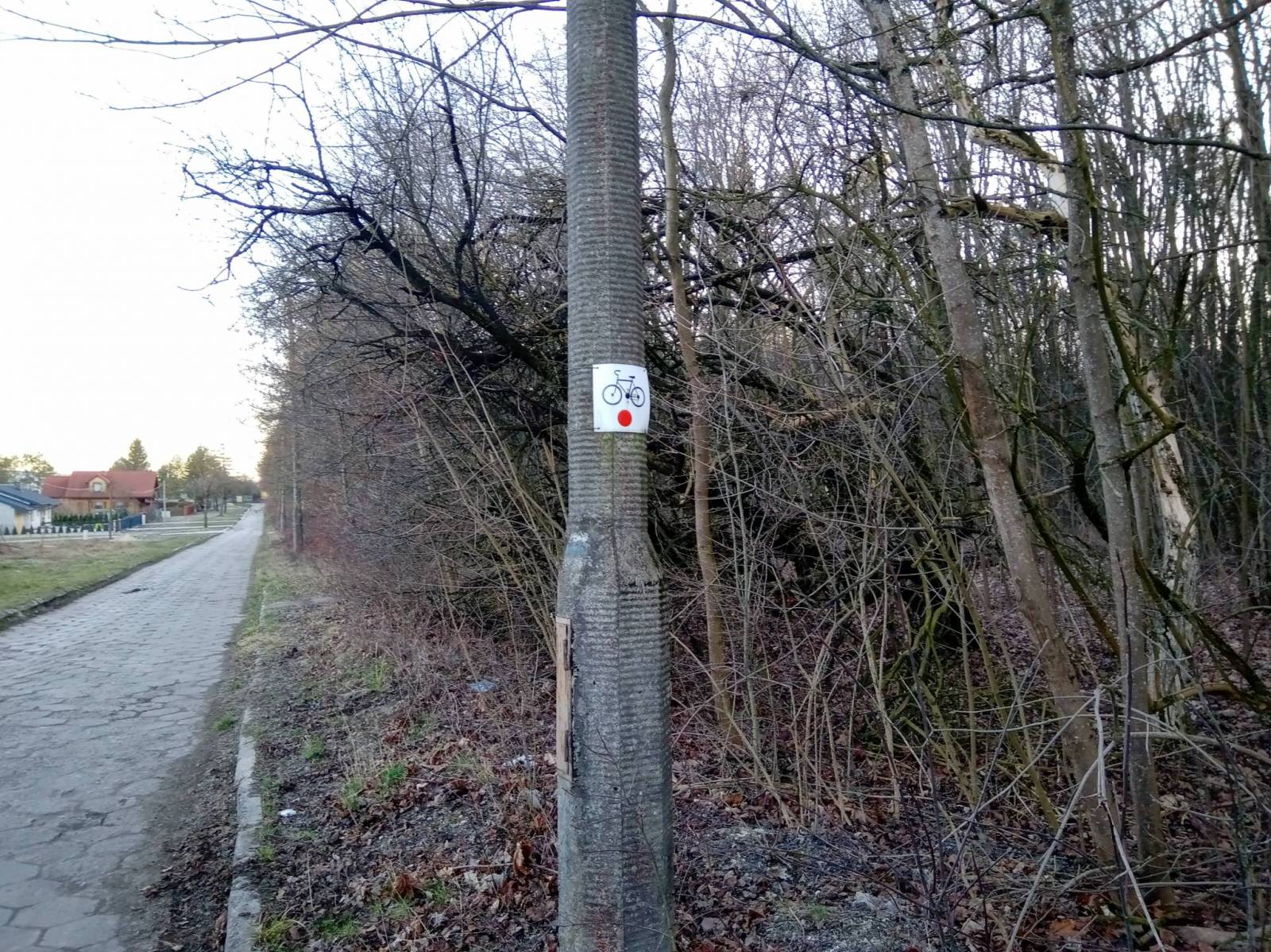 Zdjęcie 2
