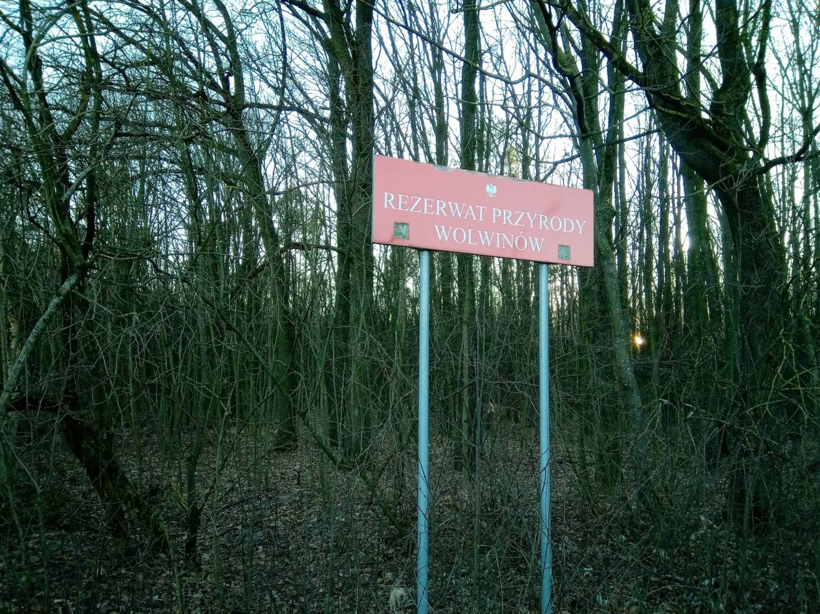 Zdjęcie 3