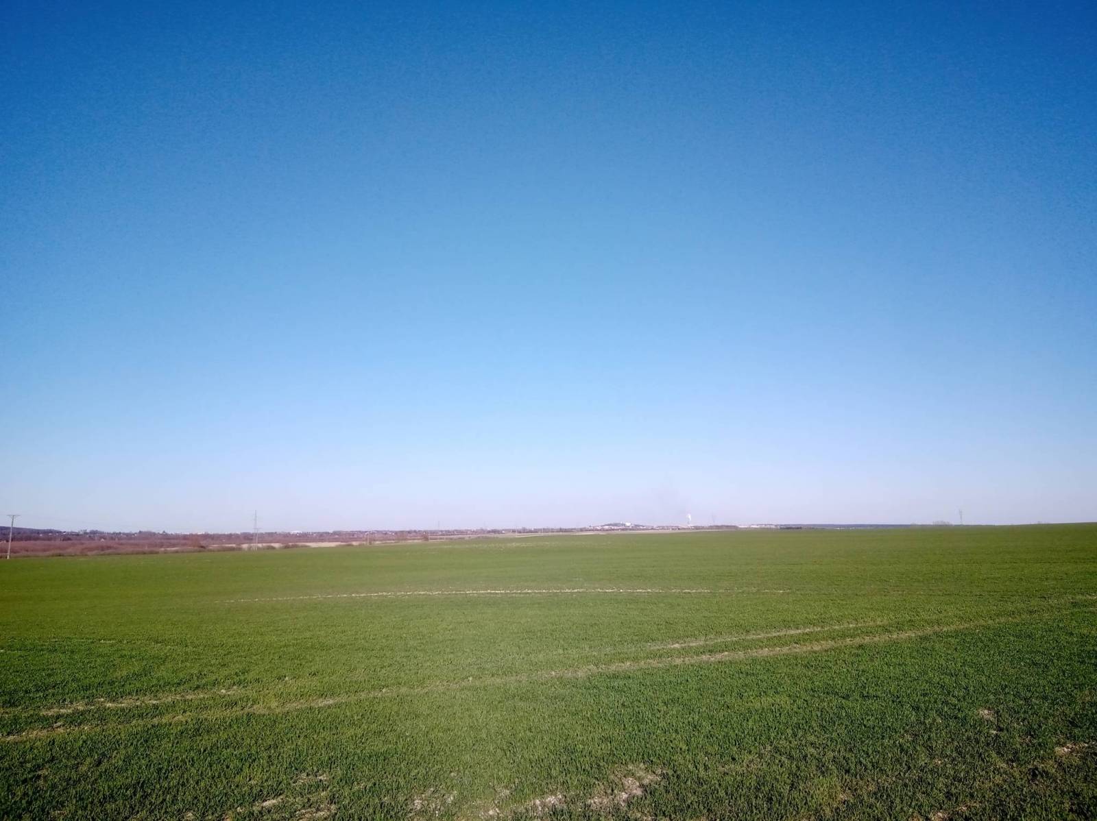 Zdjęcie 4