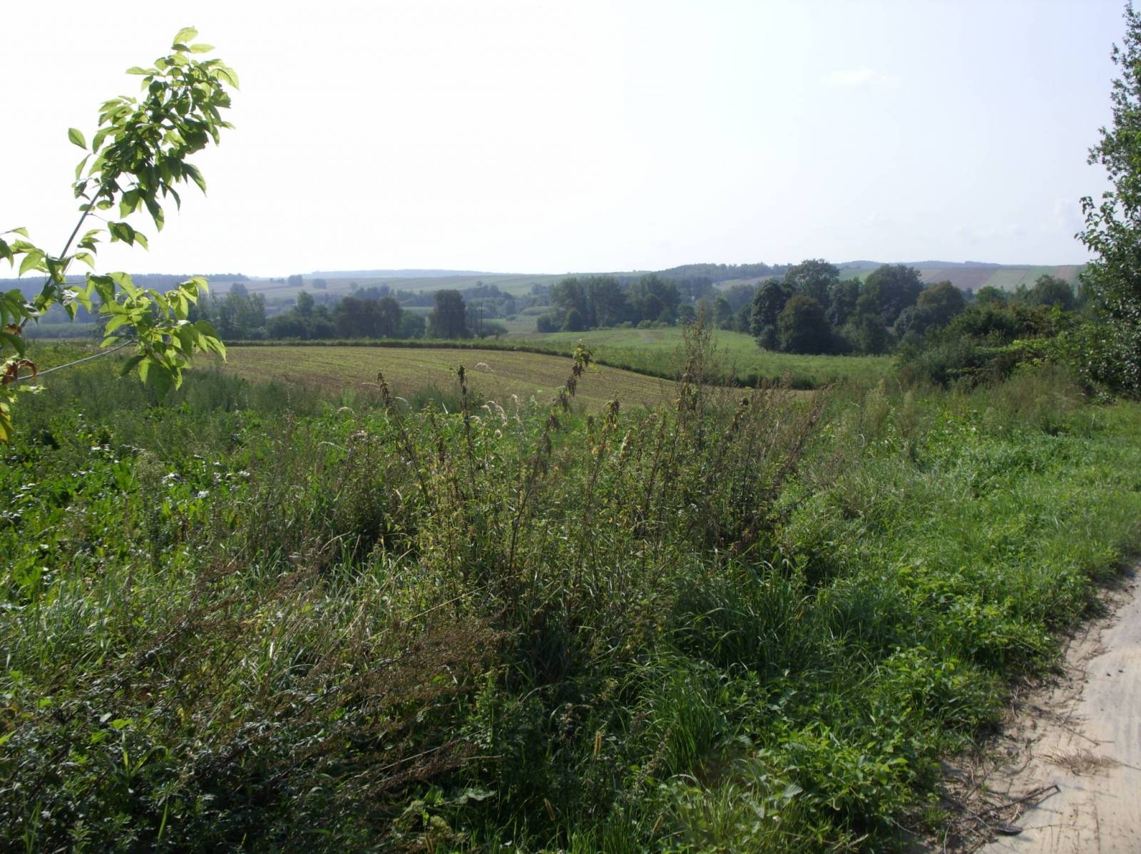 Zdjęcie 4