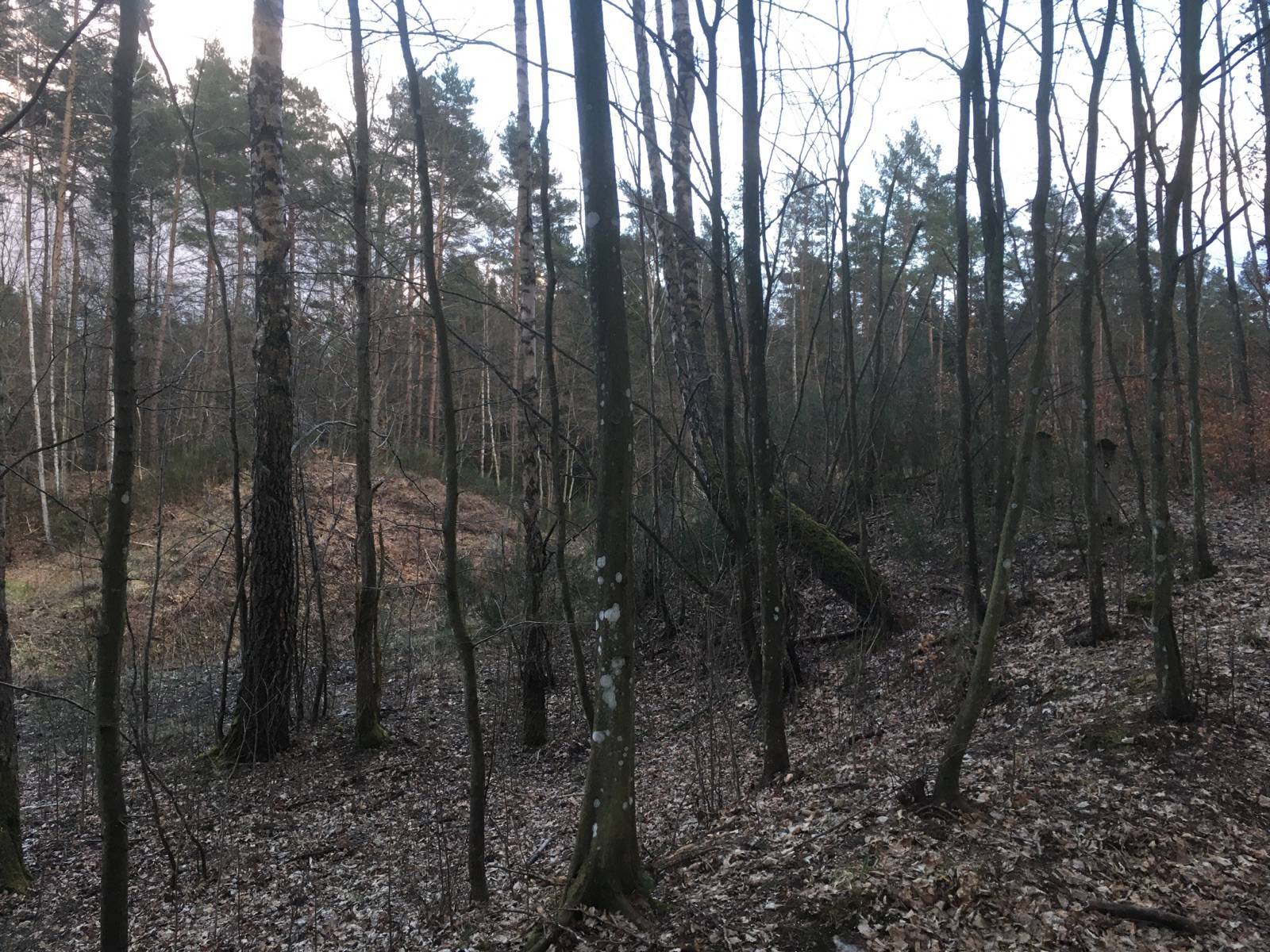 Zdjęcie 6
