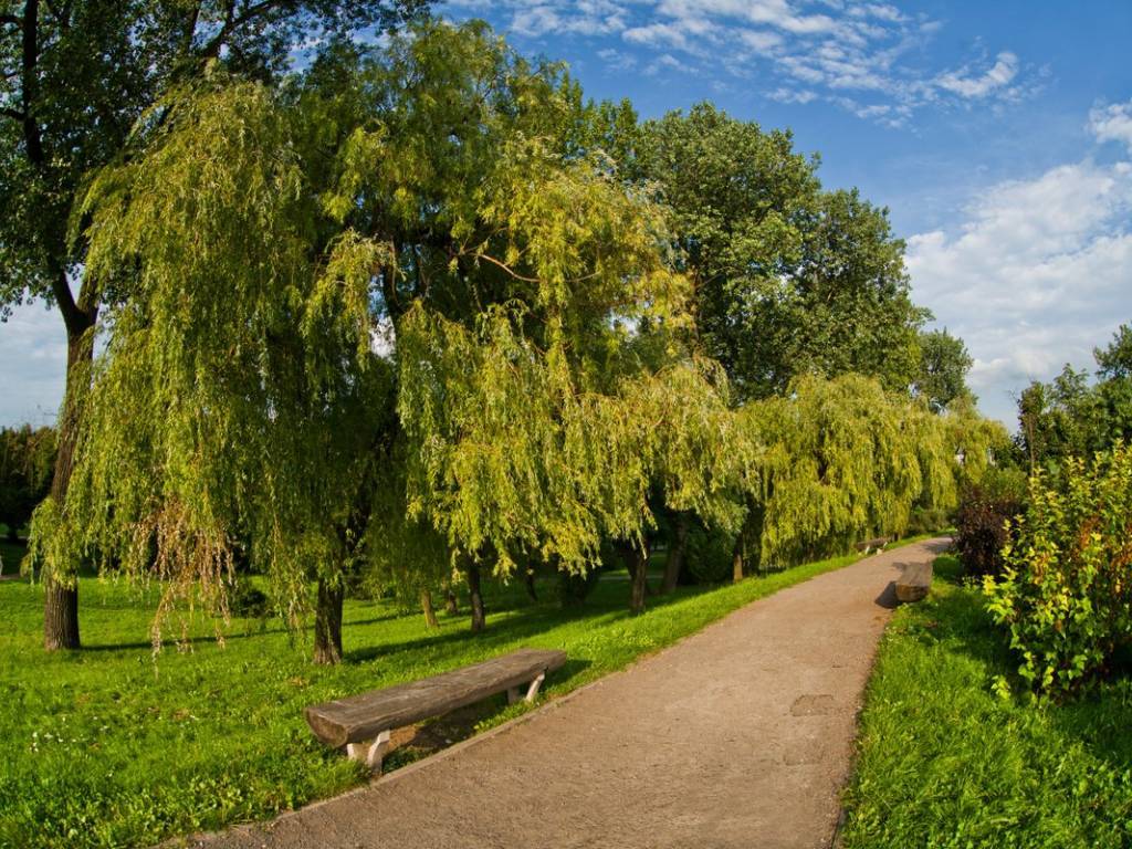 Zdjęcie 6
