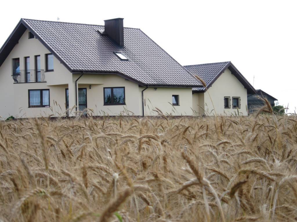 Zdjęcie 4