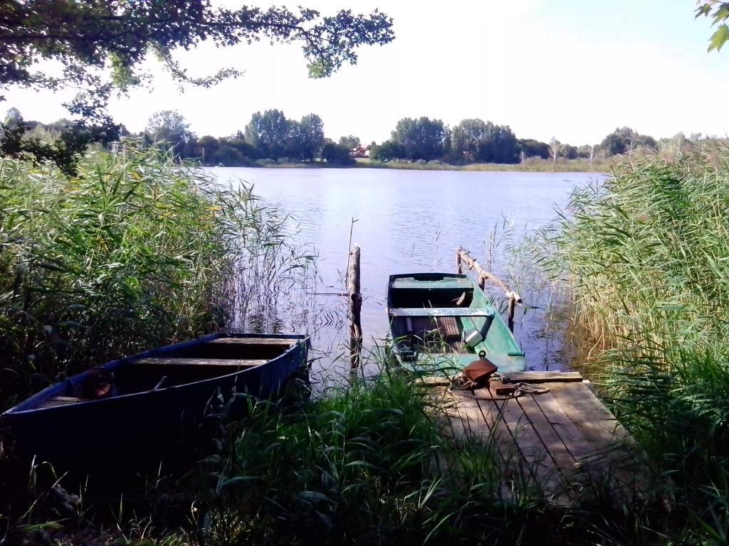 Zdjęcie 3
