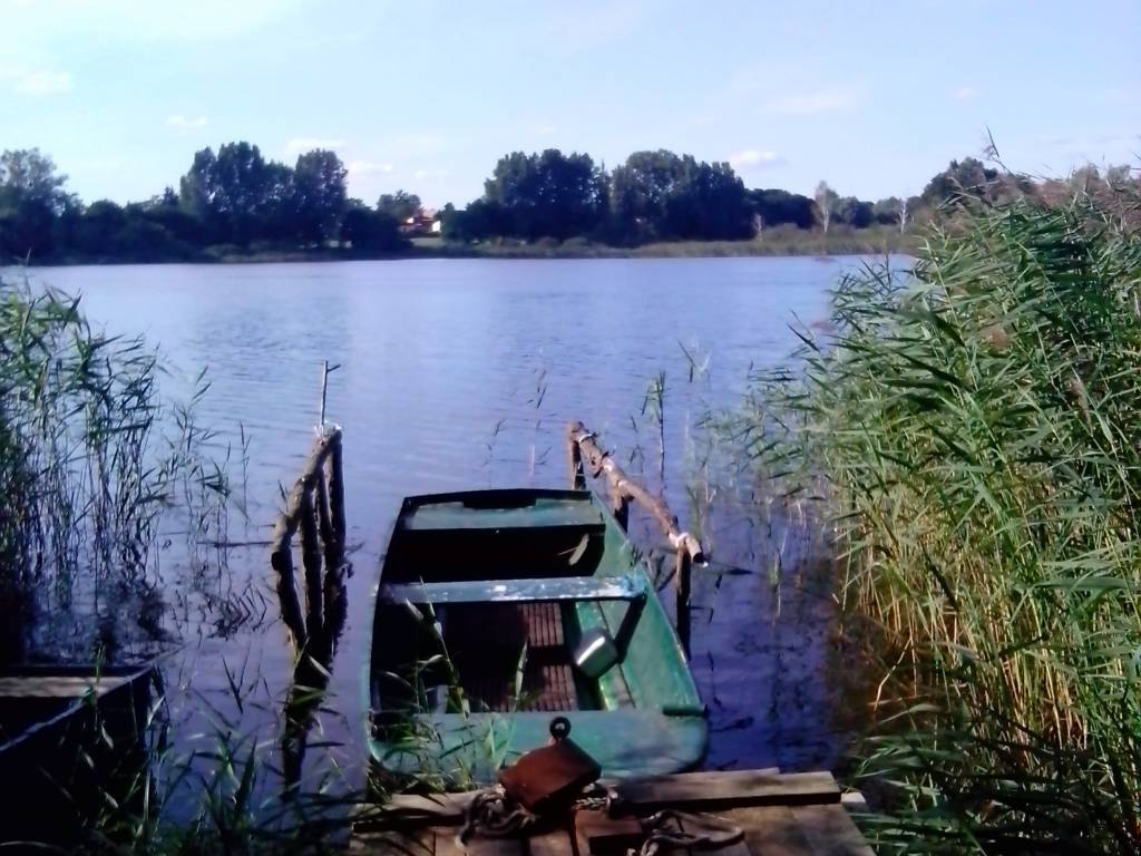 Zdjęcie 5