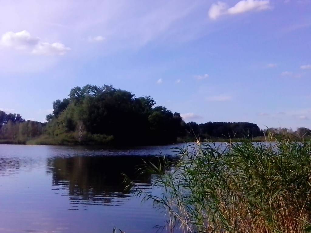 Zdjęcie 6