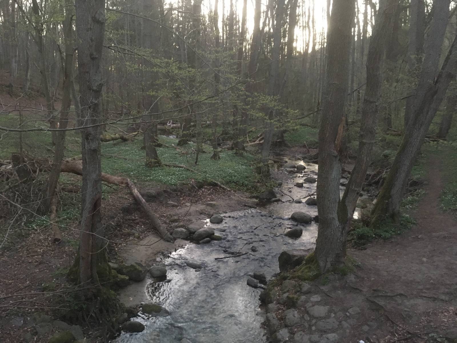 Zdjęcie 2