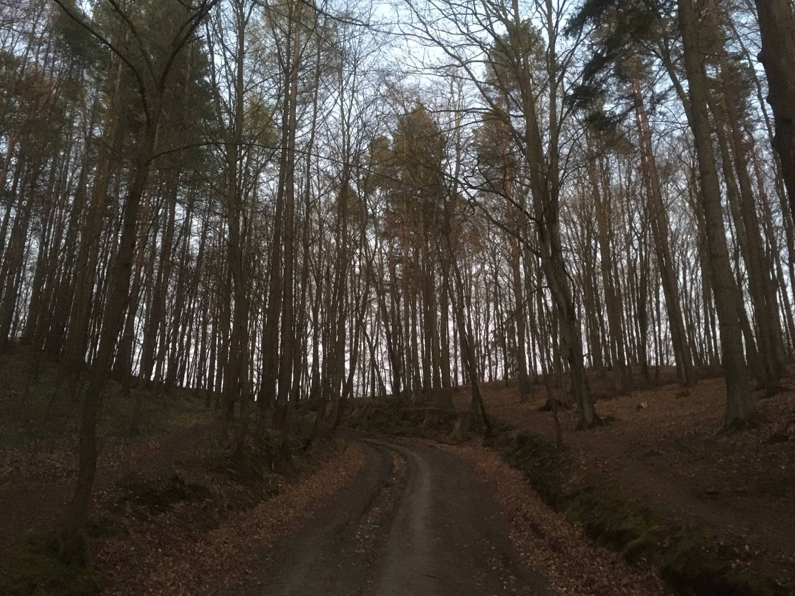 Zdjęcie 6