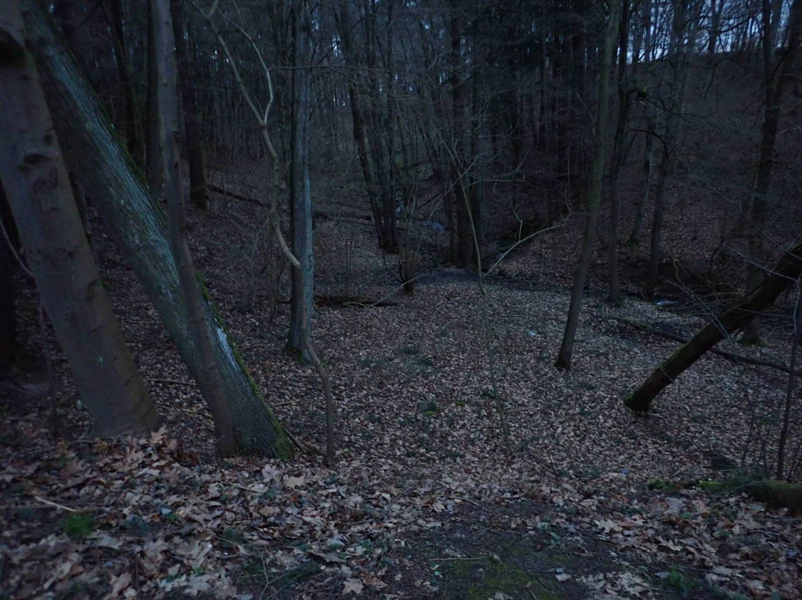 Zdjęcie 3