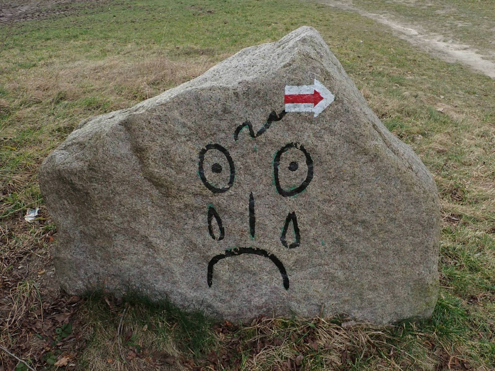 Zdjęcie 5