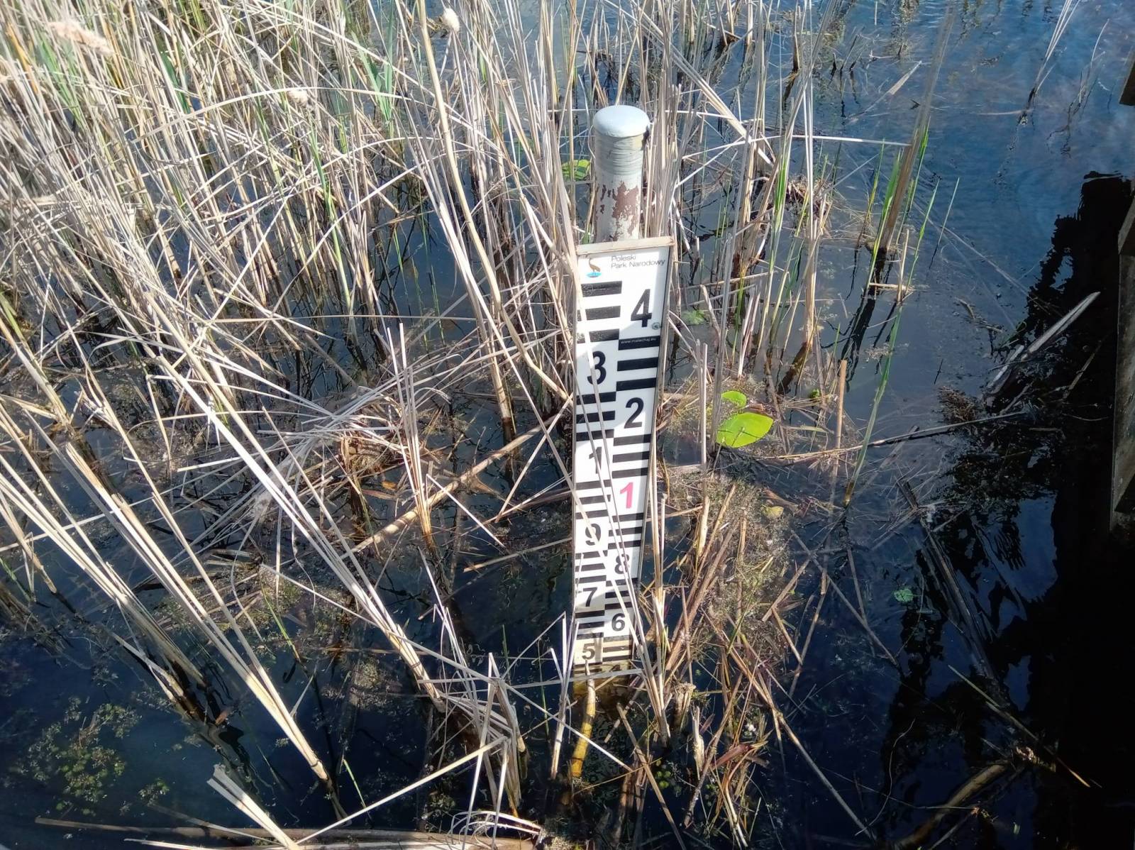 Zdjęcie 4