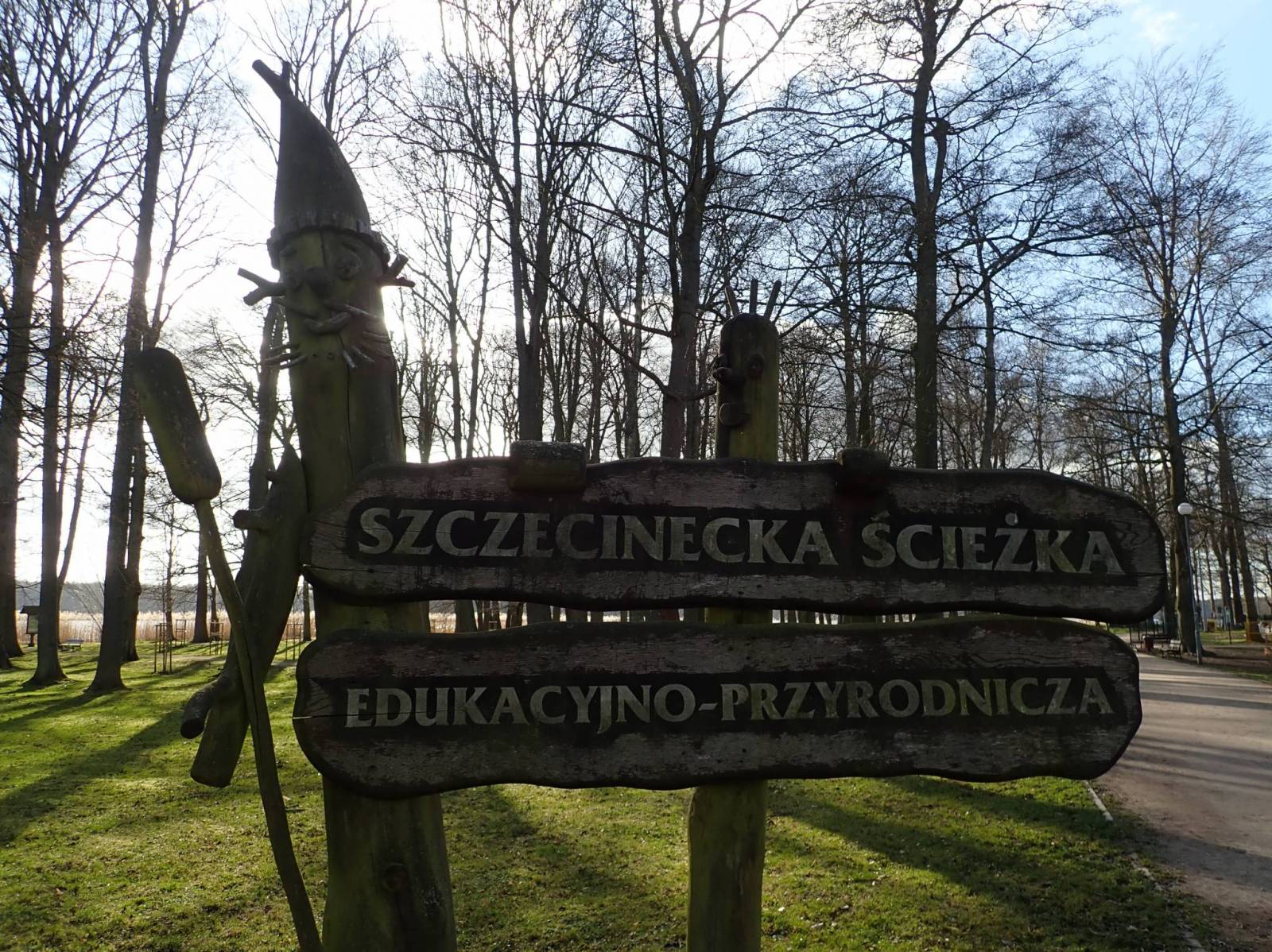 Zdjęcie 4