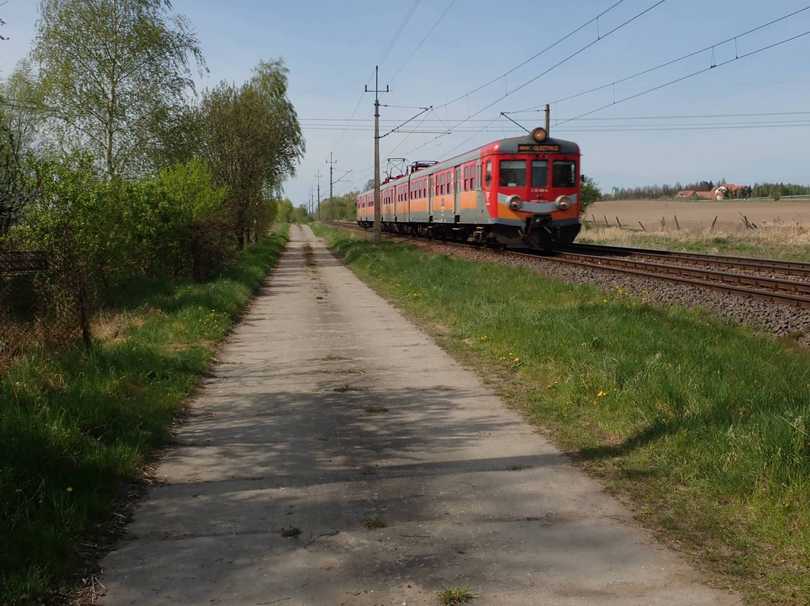 Zdjęcie 6