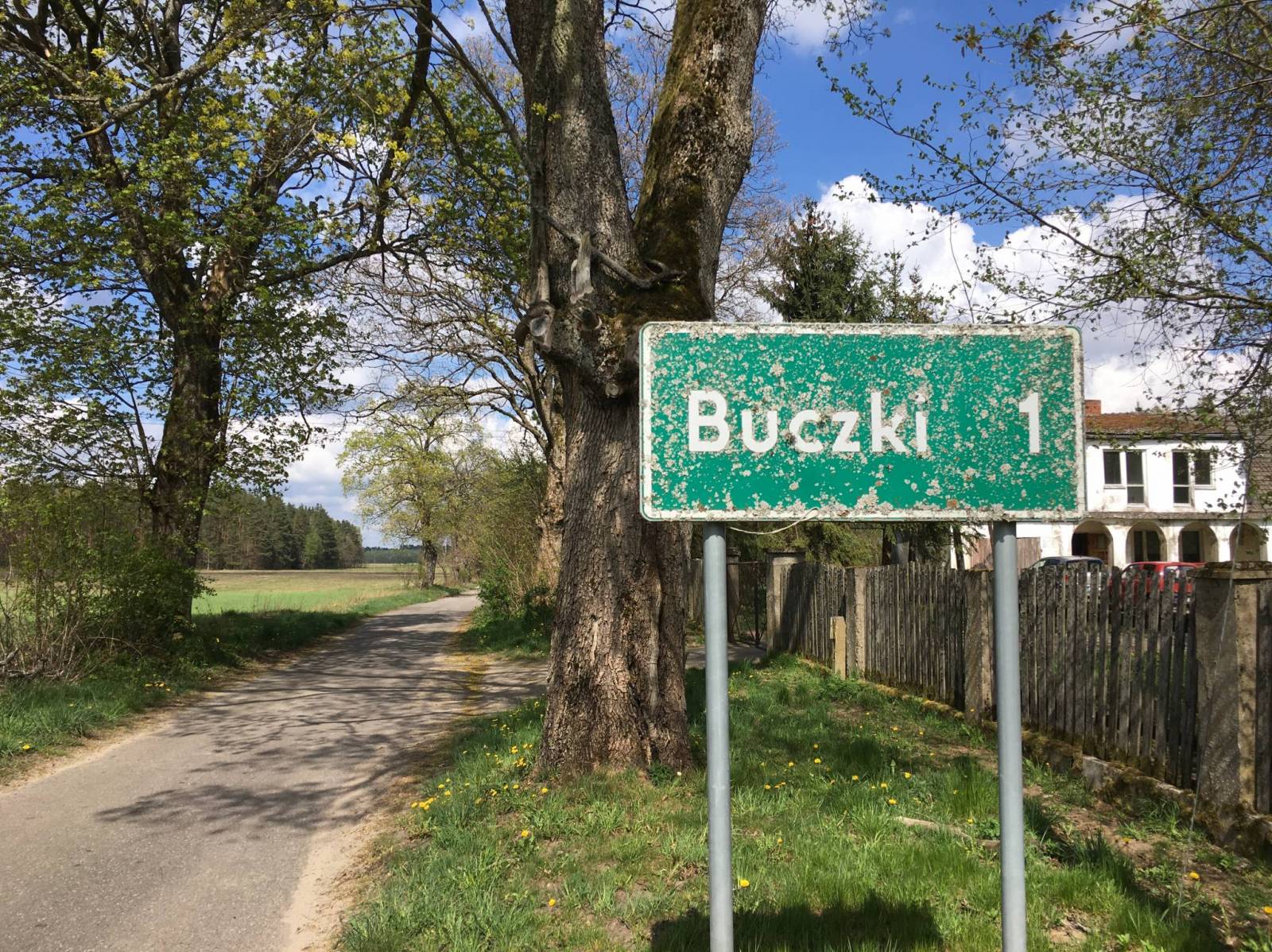 Zdjęcie 6