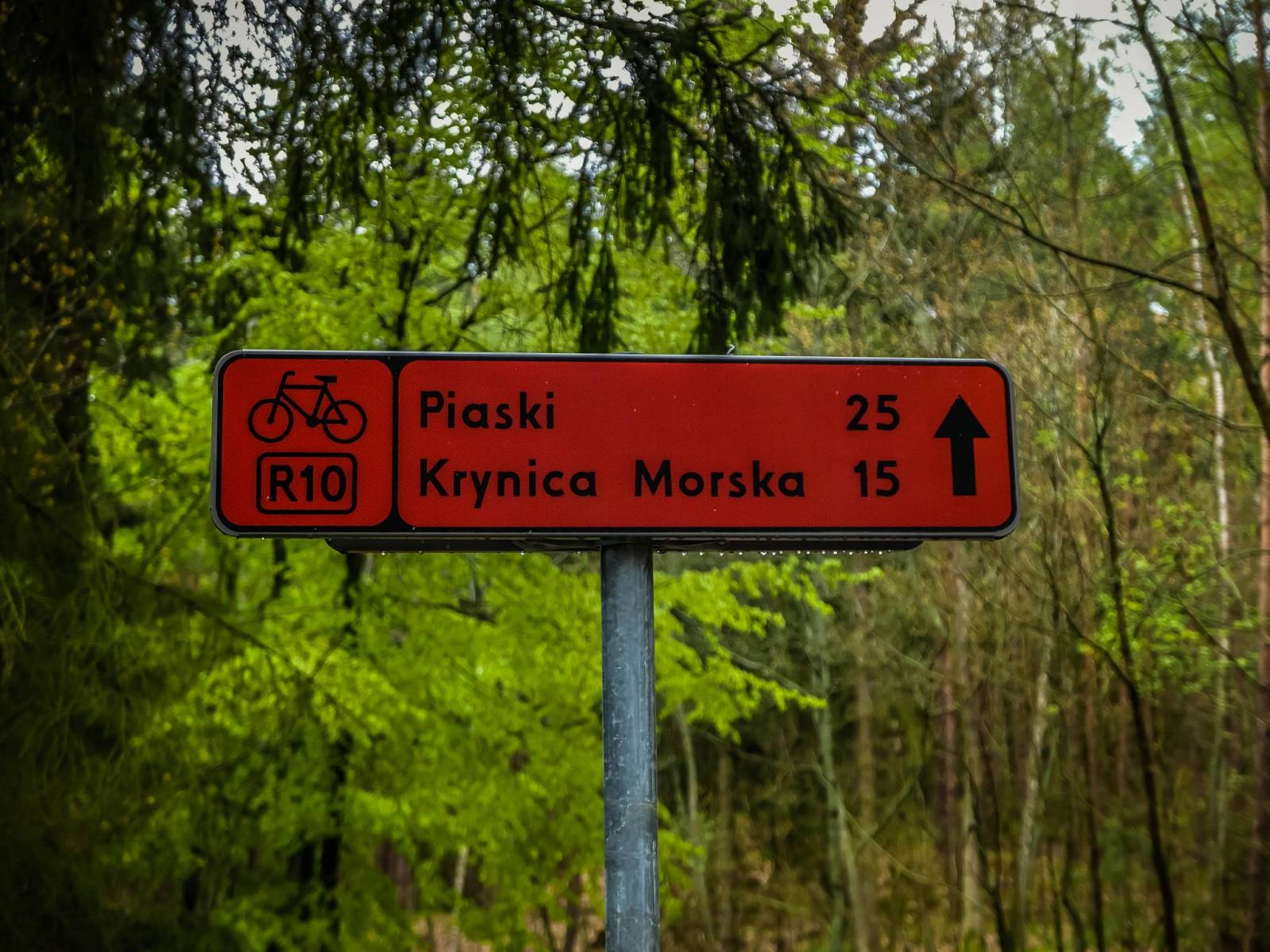 Zdjęcie 6