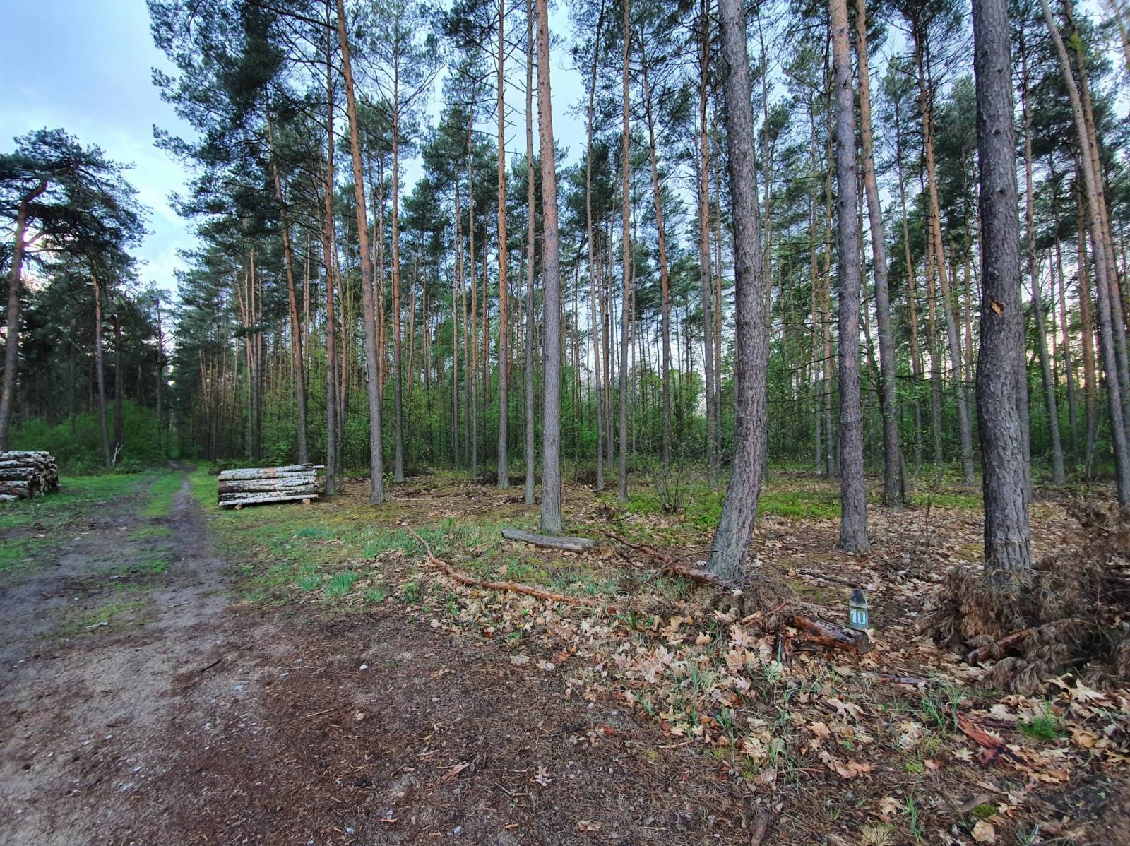 Zdjęcie 3