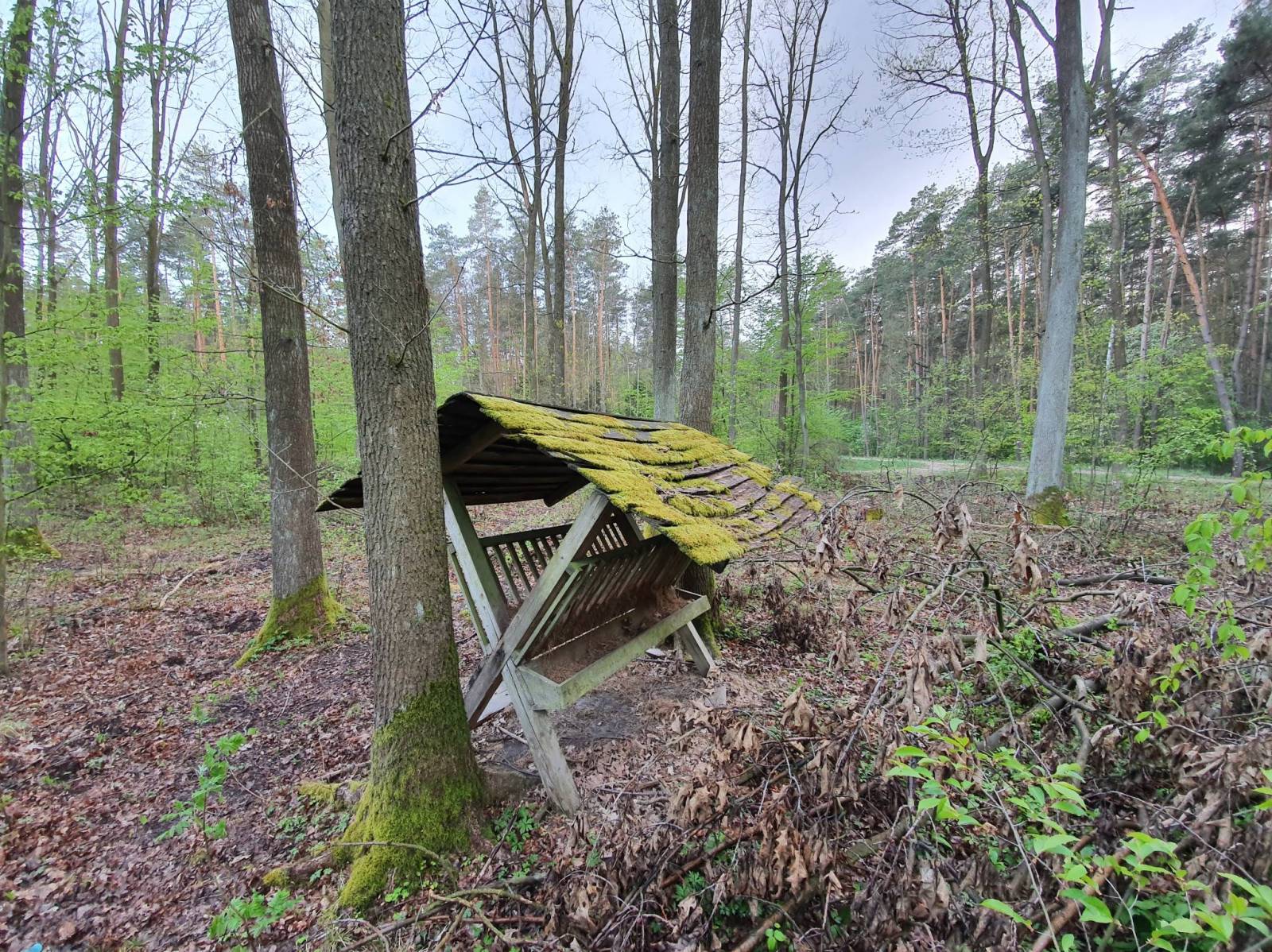 Zdjęcie 5
