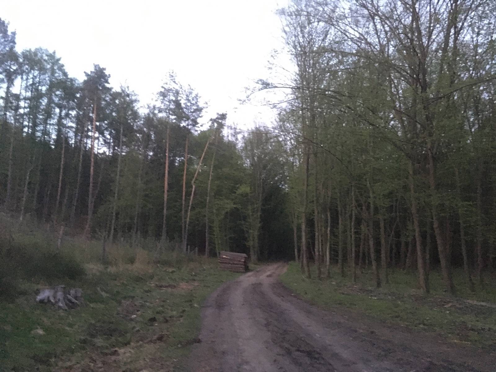 Zdjęcie 3