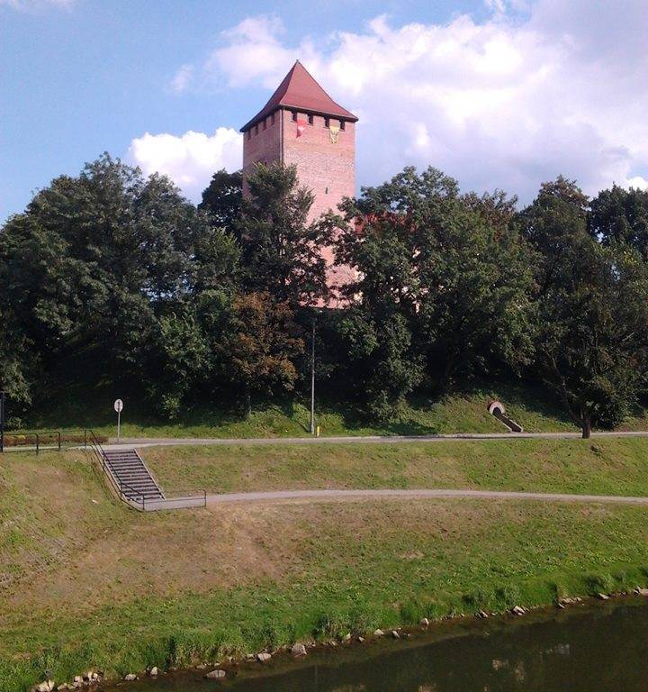 Zdjęcie 4