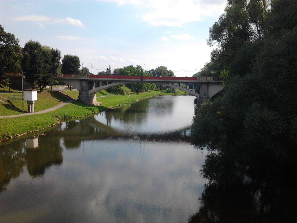 Zdjęcie 5