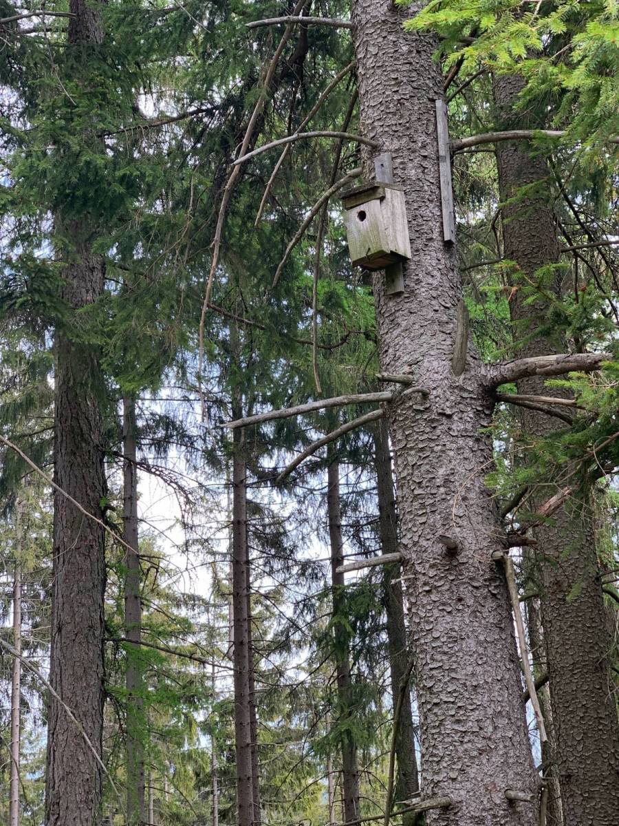 Zdjęcie 2