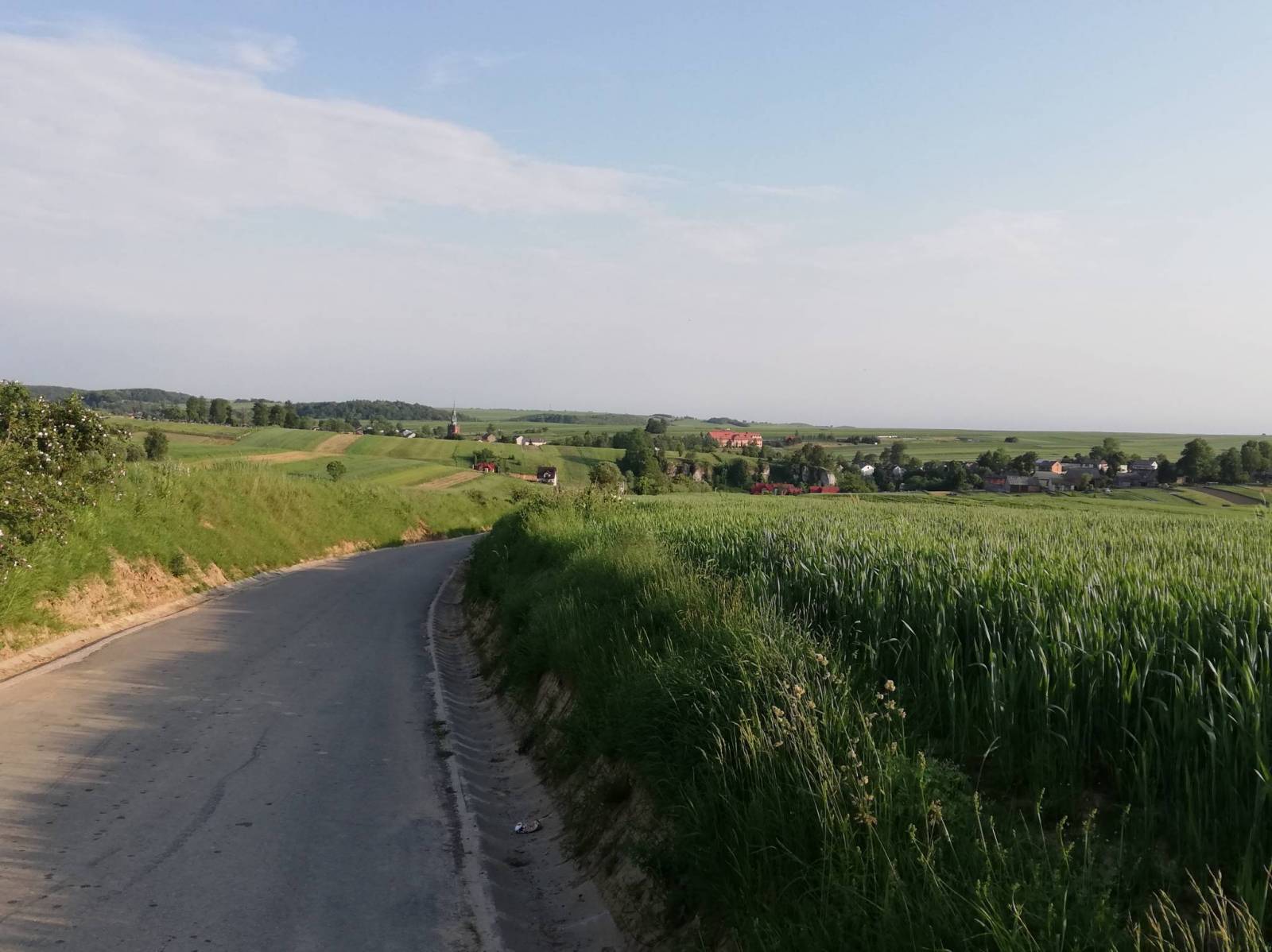 Zdjęcie 5