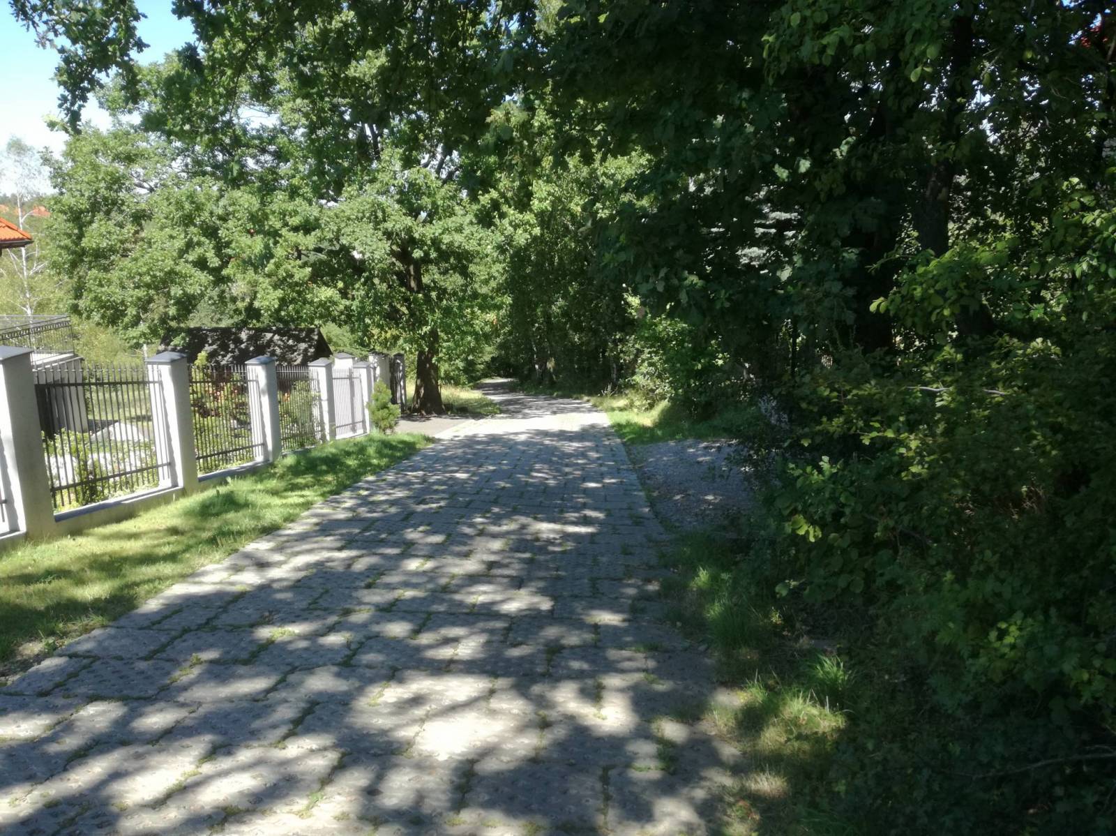 Zdjęcie 6