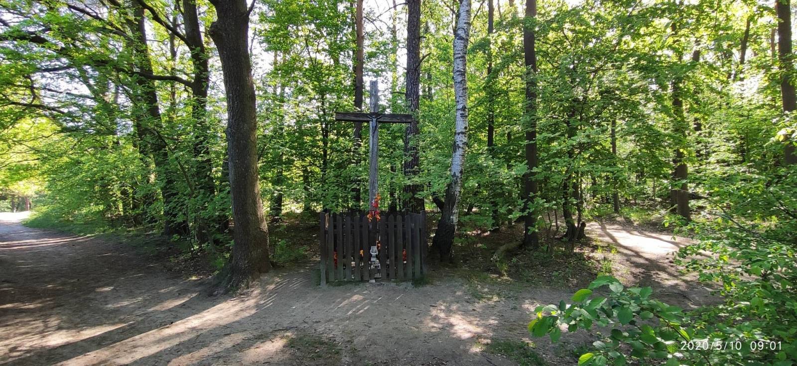Zdjęcie 3
