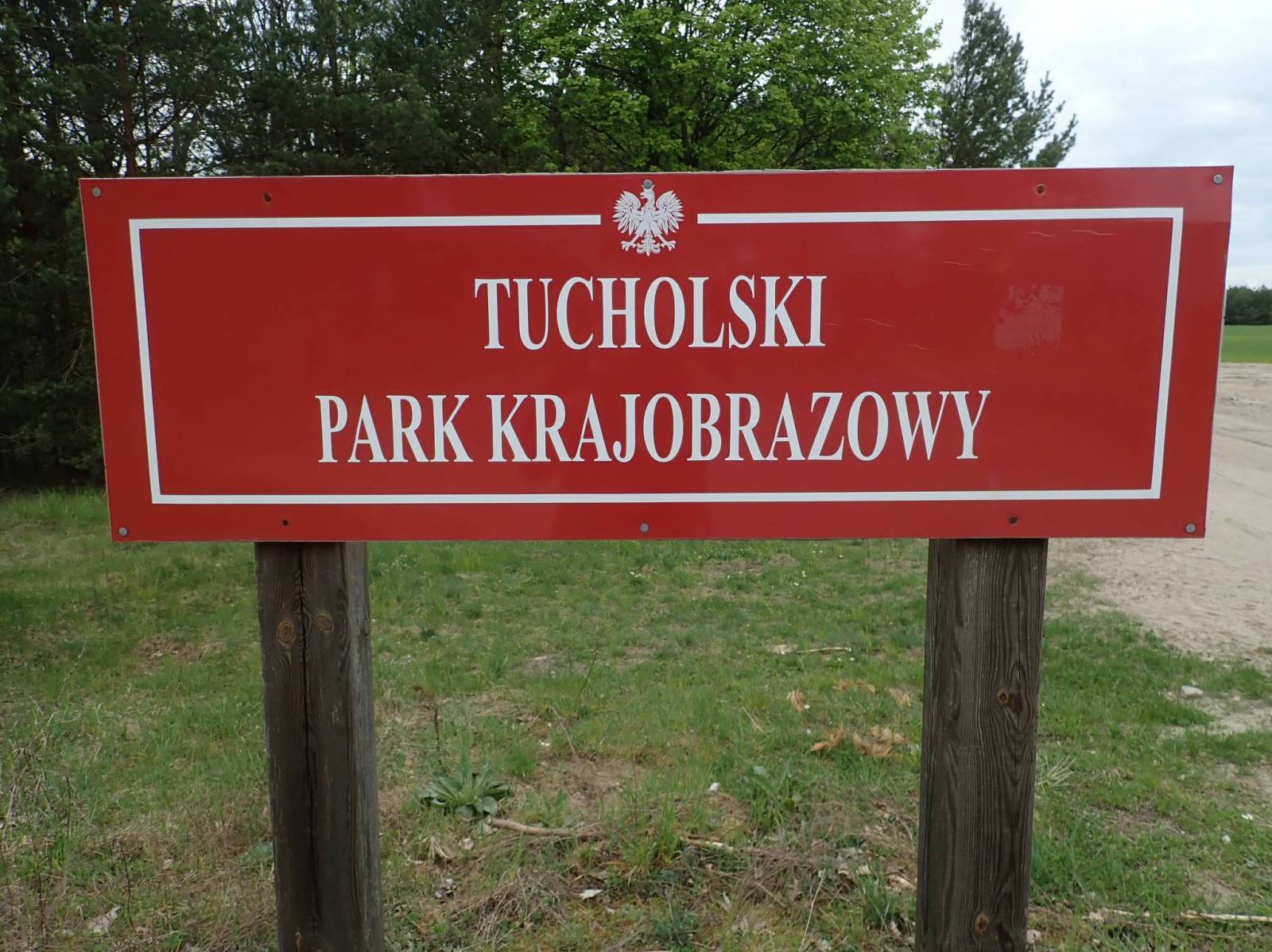 Zdjęcie 3